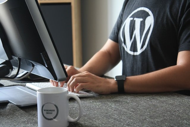 Wordpress CMS guy on computer